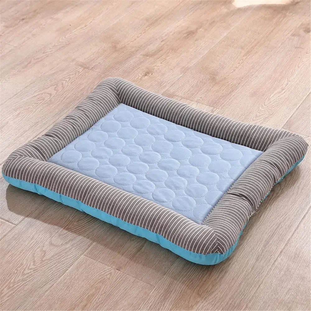 FreshPaw Bleu