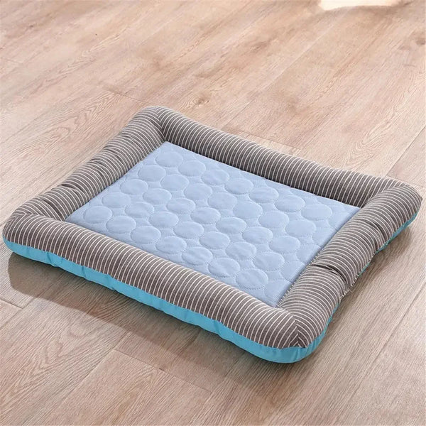 FreshPaw Bleu